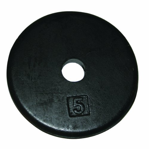 Iron Disc Weight Plate - 5 Lb