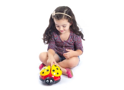 Joaninha Amarela Bebê na Caixa 361E - Bs Toys
