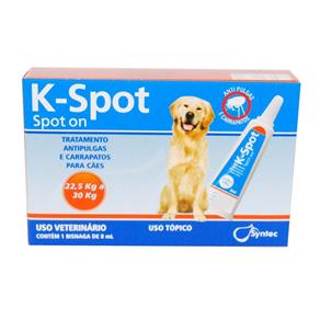 K-Spot Bisnaga * GG