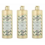 Kelma Therapya Óleos Especiais Shampoo 500ml (kit C/03)