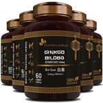 Kit 5 Ginkgo Biloba (bai Guo) 100% Vegano