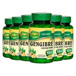 Kit 6 Gengibre C/ Chá Verde Unilife - 400mg 120 Comprimidos