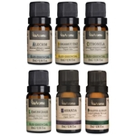 Kit 6 óleos essenciais Via Aroma Original 10ml Aromaterapia