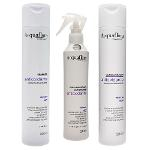 Kit Antioxidante Shampoo Condicionador Cabelos Secos E Danificados Spray - Acquaflora