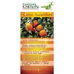 Kit Capsulas Citrus Aurantium 300mg - 3 potes