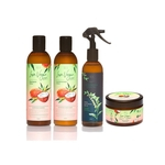 Kit Cosméticos Veganos - 1 Shampoo, 1 Condicionador, 1 Máscara e 1 Spray Queratina Pro - Abela Cosmetics