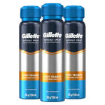 Kit 3 Desodorante Aerosol Gillette Sport Triump Gillette 93g