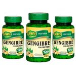 Kit 3 Gengibre C/ Chá Verde Unilife - 400mg 120 Comprimidos