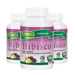 Kit 3 Hibisco Com Gengibre 500mg Unilife 180 Comprimidos