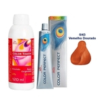 Kit Oxigenada Color Touch 4% 13vol 120ml E ColoraÇÃO Clareadora Color Perfect Special Mix 0/43 60ml