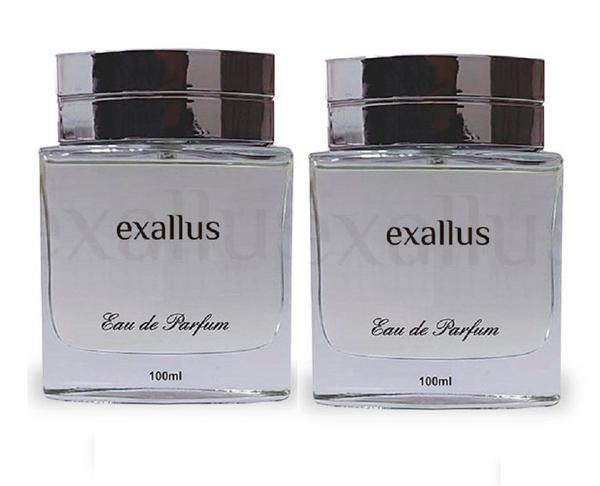 Kit Perfume Acqua de Gio Masculino (contratipo) 2x 100ml - Exallus