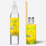 Kit Repelente Natural Citronela - 1 Citrojelly Spray 200 Ml + Difusor 120 Ml
