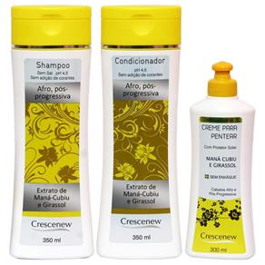Kit Shampoo, Condicionador e Creme de Pentear Cabelo Afro - Shampoo 350 Ml, Condicionador 350 Ml, Creme 300 Ml