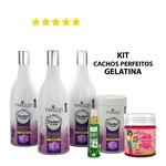 Kit Tratamento Cachos Perfeitos Gelatina + Mix de Óleos Pro Fio 60ml + Gelatina Modeladora 500g Trizzi