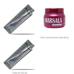 Kit Vinho Marsala 2 Tinta 1 Mascara Matizadora 250G Mairibel