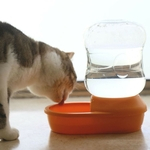 2L Grande Capacidade Dispenser Automático Água Alimento para o pequeno animal de estimação Cães Gatos
