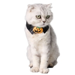 Laço do gato do cão de estimação com Decoração da abóbora para Halloween Costume