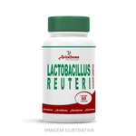 Lactobacillus Reuteri 60 Cápsulas
