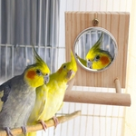 Espelho Levante Toy Pet por ave suprimentos Parrot