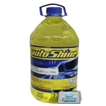Limpa Estofado & Plastico Bts 5l Autoshine