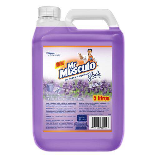 Limpador Perfumado Mr.músculo Lavanda 5 Lts - Mr.músculo