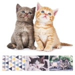 Litter Cat Pattern Mat PVC animal Mat Coloque Pet Mat Pet Mats Grinding Garra Mat