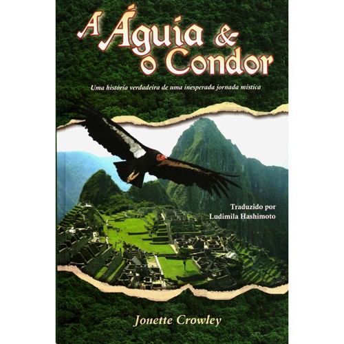 Livro - Águia e o Condor, a