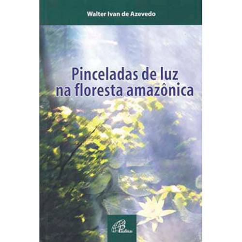 Livro - Pinceladas de Luz na Floresta Amazônica