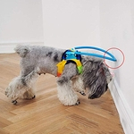 Cego Pet Anti-colisão Anel de Proteção Animal Cataract Círculo Guia Dog Harness