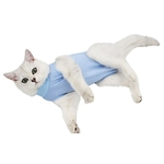 Macio Cirurgia Cat Clothes Medical Pet Cat Suit Surgical shirt Bras?o Vest