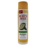 Mais umidade Baobab Shampoo por abelhas Burts para Unisex - Shampoo 10 oz