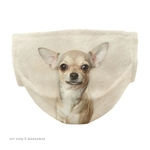 Máscara Dupla Cachorro Chihuahua Bege Kit c/ 3