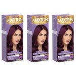 Maxton Coloração 5.26 Marsala Escuro (kit C/03)