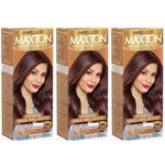 Maxton Coloração Kit 6.76 Chocolate Rose (kit C/03)