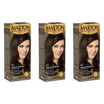 Maxton Tinta 4.3 Castanho Dourado (kit C/03)