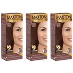 Maxton Tinta 5.74 Marrom Marroquino (kit C/03)