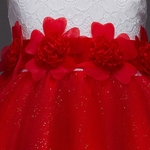 Menina Red Flower Lace Grenadine bolha saia princesa Crian?as Uma pe?a Vestido