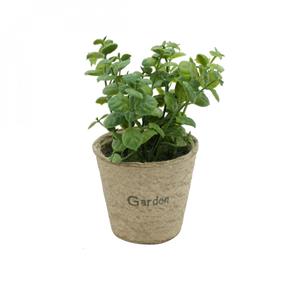 Mini Vaso Decorativo de Papel e Plantinha Jade Sucullent 13cmx12cm Urban Verde