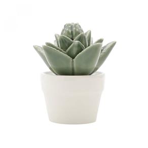 Mini Vaso Decorativo em Cerâmica Titubens Sucullent 11cmx9,2cm Urban Verde/Branco