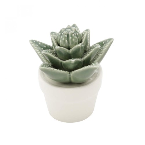 Mini Vaso Decorativo em Cerâmica Titubens Sucullent 11Cmx9,2Cm Urban Verde/Branco