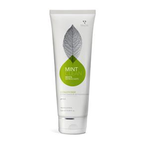 Mint Clean Conditioner (Antioleosidade)