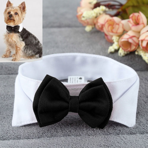 Moda ajustável laço bonito Collar gravata bowknot para Pet Dog Decor casamento do gato