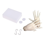 Modelo Flexível Das Mãos Articuladas Femal Para 1/3 Bjd Acessórios Da Boneca Pele Normal