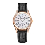 Women Fashion Luxury Leisure Set Auger Leather Stainless Steel Quartz Watch