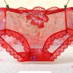 Mulheres respirável Transparente Roupa interior de malha Lace Bordados Rose Calcinhas