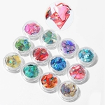 12 Pcs prego Ornamentos Shell Pieces Coloridos Abalone Pieces Mirage Pieces