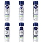 Nivea For Men Sensitive Protect Desodorante Aerosol 150ml (kit C/06)