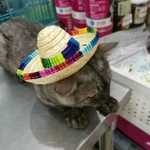 Novidade Pet Shop Hat Sun Cap Dog Cat Straw Filhote De Cachorro Cat Dog Hat Cap Mexican Hat Pet