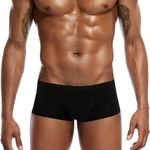 Nylon ultra-fino PS506 Underwear Boxer Bag cintura baixa sexy masculino