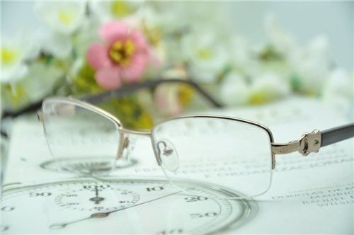 Óculos de Grau Rapina/gerbera (Só Lente)